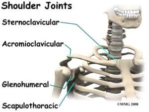 Image of shoulder joints including the acromioclavicular joint, gelnohumeral joint, the sternoclavicular joint, and scapulothoracic joint.