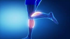 physical therapist for leg pain Miami FL