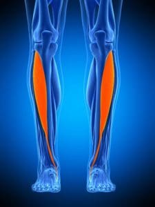 physical therapy clinic for leg pain Miami FL