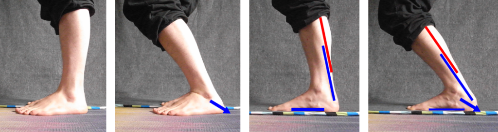 Ankle Mobility: Why is it important?