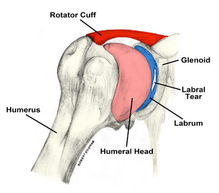 Physical therapy for labral tears symmetry pt miami