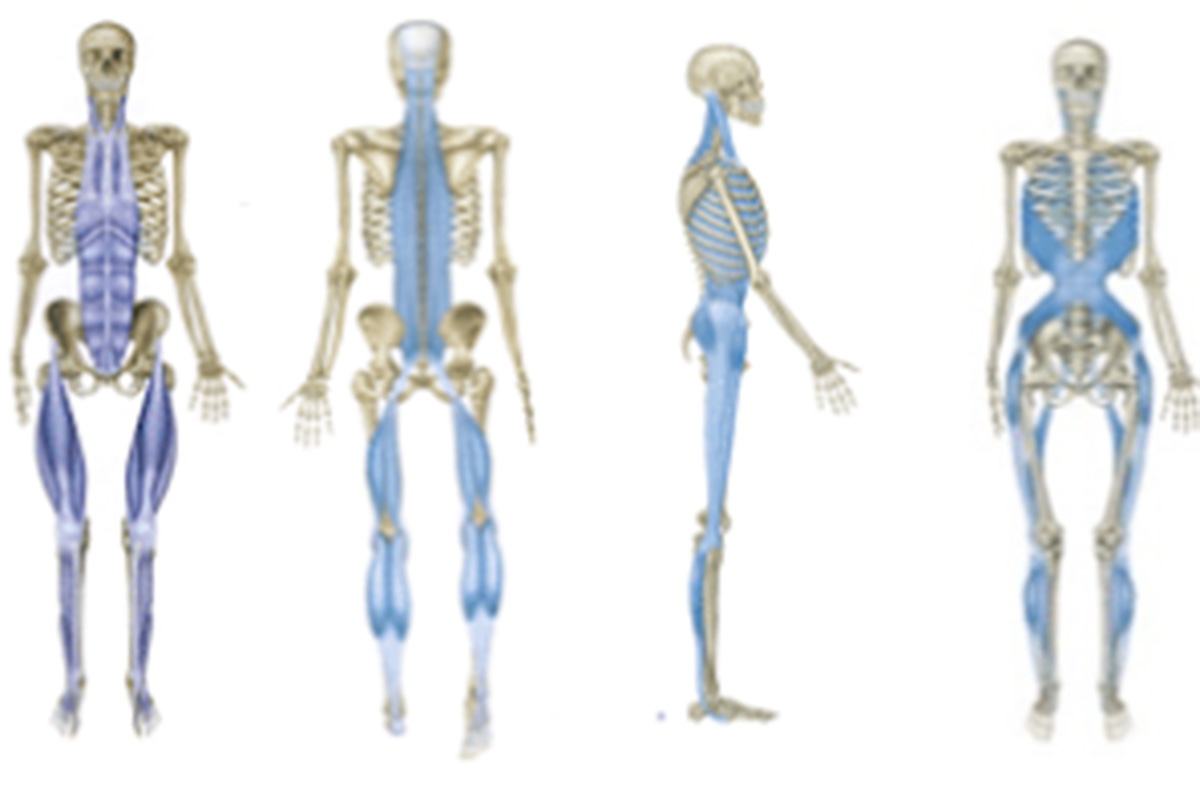 Treating Myofascial Trigger Points Symmetry Physical Therapy