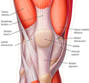 What is Quadriceps Tendonitis?